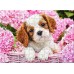 PUZZLE 180 - CATELUS INTRE FLORI - CA018185