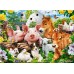 PUZZLE CASTORLAND - 60 PCS - PRIETENIA ANIMALELOR - CA066209 PUZZLE CASTORLAND - 60 PCS - PRIETENIA ANIMALELOR - CA066209