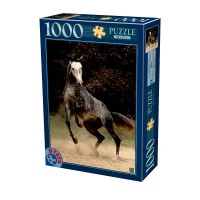 PUZZLE 1000 PIESE - CAI - 65988-02 PUZZLE 1000 PIESE - CAI - 65988-02