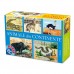 ANIMALE DIN CONTINENTE- CLASIC - JOC COLECTIV DE CALCUL SI PERSPICACITATE - 71750