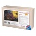 PUZZLE 100 - BUFNITE - 74409-01